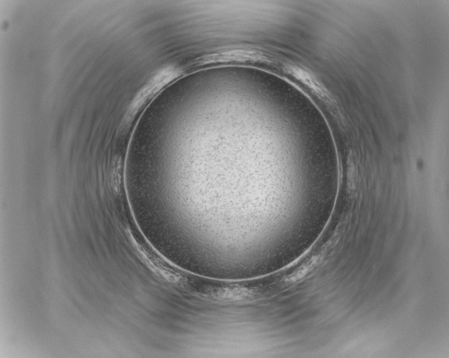 X0000059081233200510172021