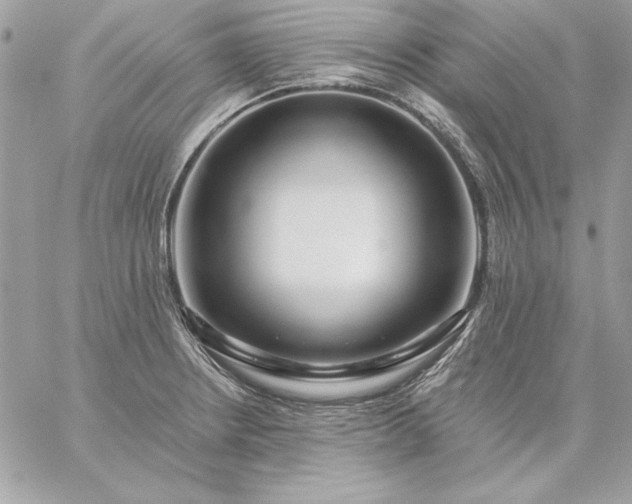 X0000059081234200510172021