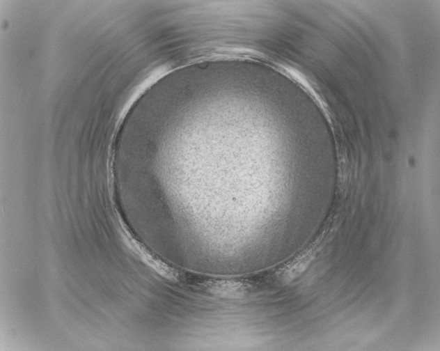 X0000059081235200510172021