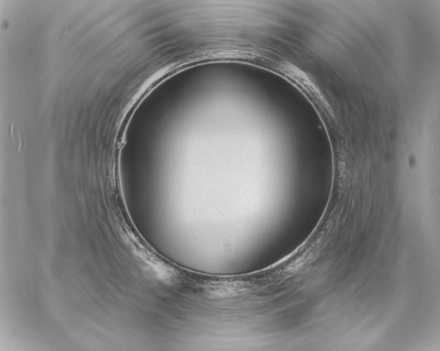 X0000059081236200510172021