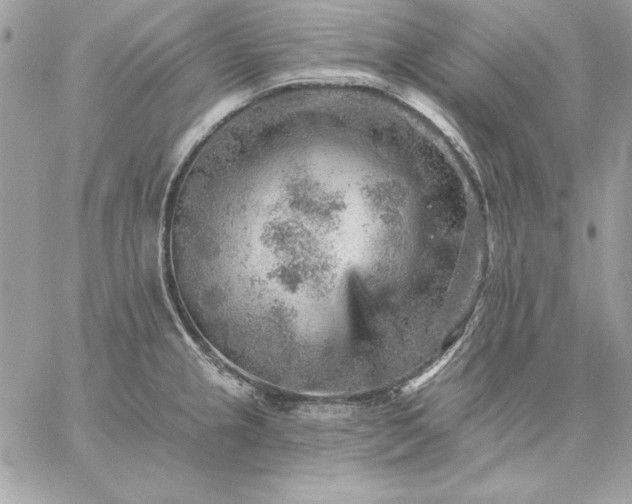 X0000059081237200510172021