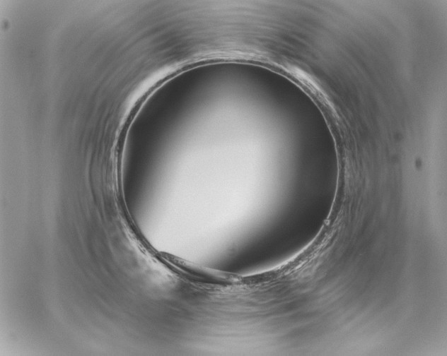 X0000059081238200510172021