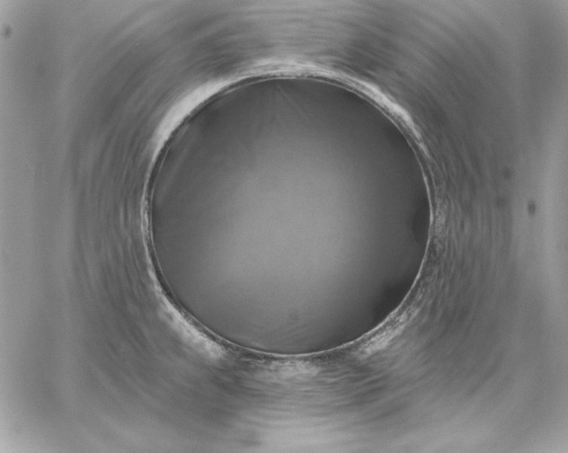 X0000059081239200510172021