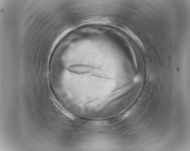 X0000059081240200510172021