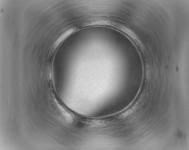 X0000059081241200510172021