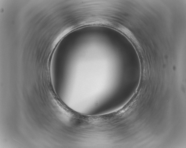 X0000059081242200510172021