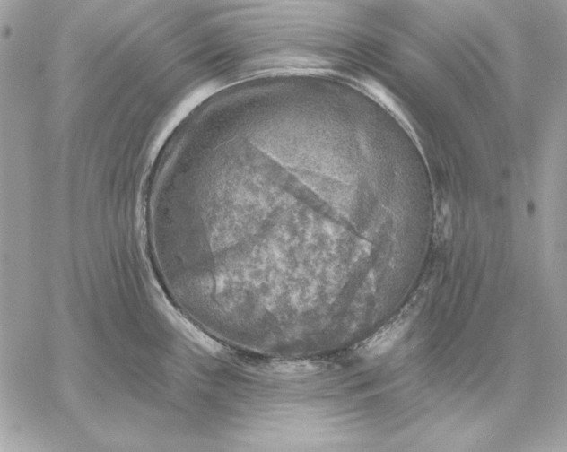 X0000059081243200510172021