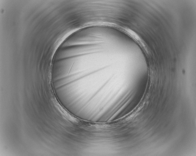 X0000059081244200510172021