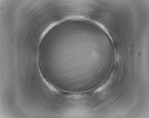 X0000059081245200510172021