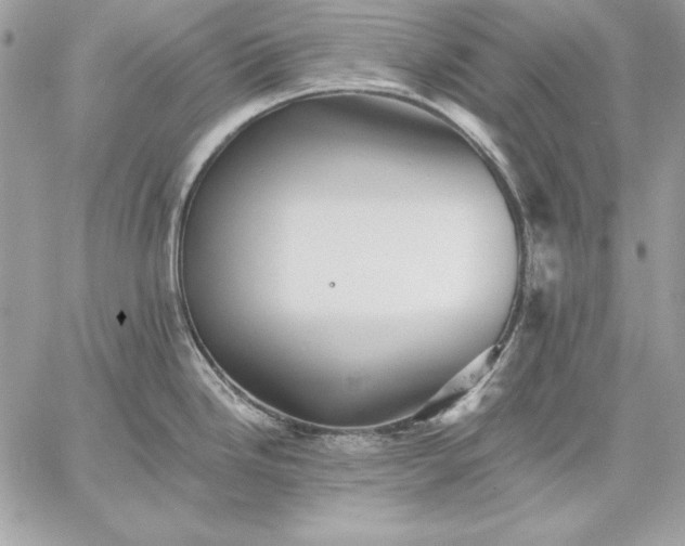 X0000059081246200510172021