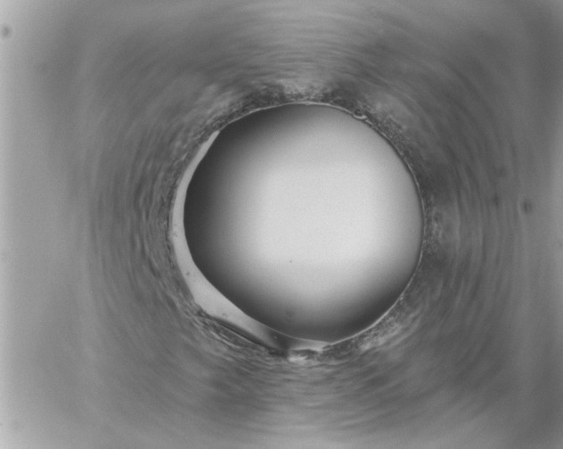 X0000059081249200510172021