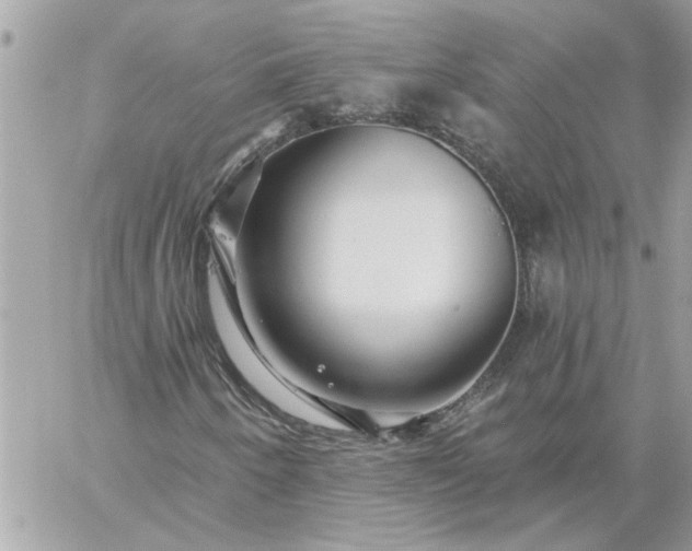 X0000059081250200510172021