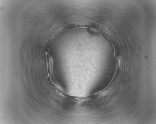 X0000059081251200510172021