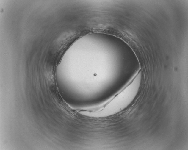 X0000059081252200510172021