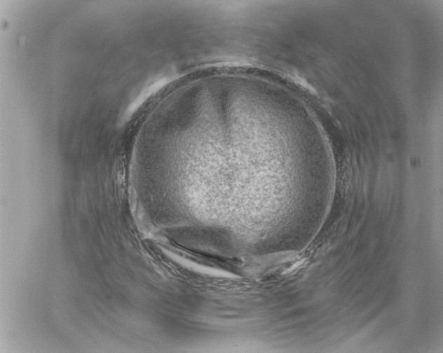 X0000059081255200510172021