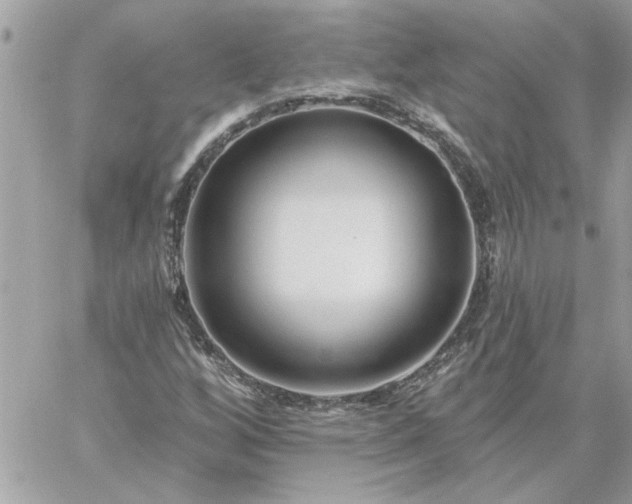 X0000059081256200510172021