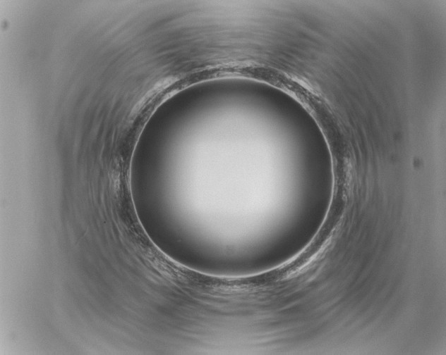 X0000059081257200510172021