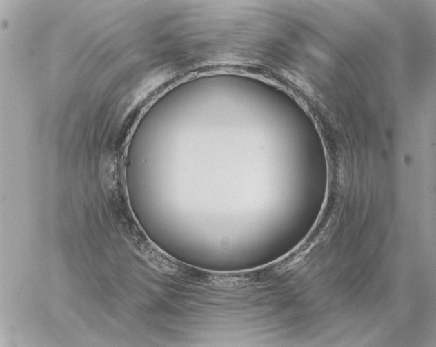 X0000059081258200510172021