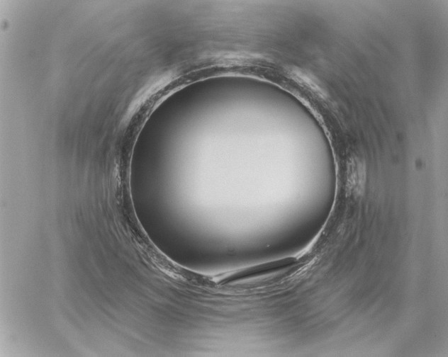 X0000059081261200510172020