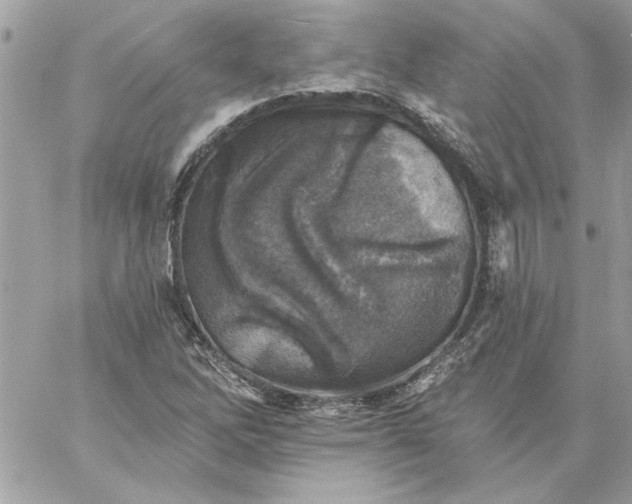 X0000059081262200510172020