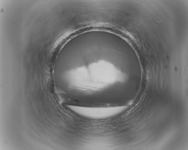 X0000059081263200510172020