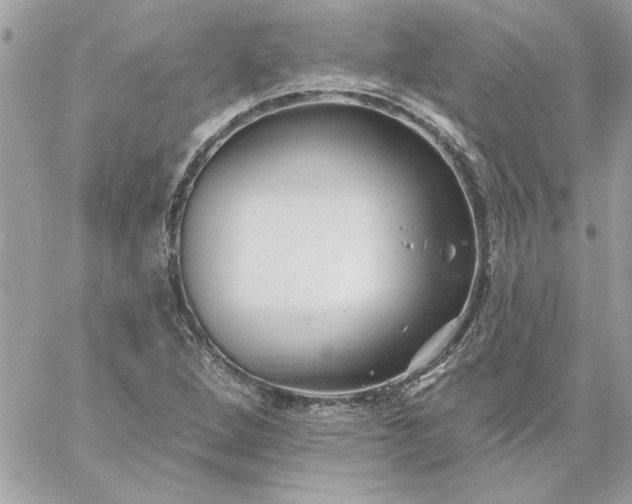 X0000059081264200510172020