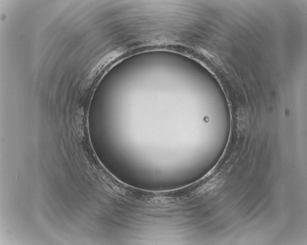 X0000059081265200510172020