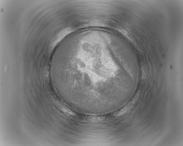 X0000059081266200510172020