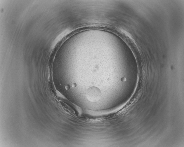 X0000059081267200510172020