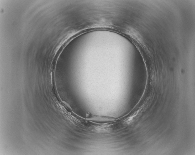 X0000059081268200510172020