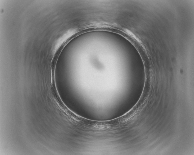 X0000059081269200510172020