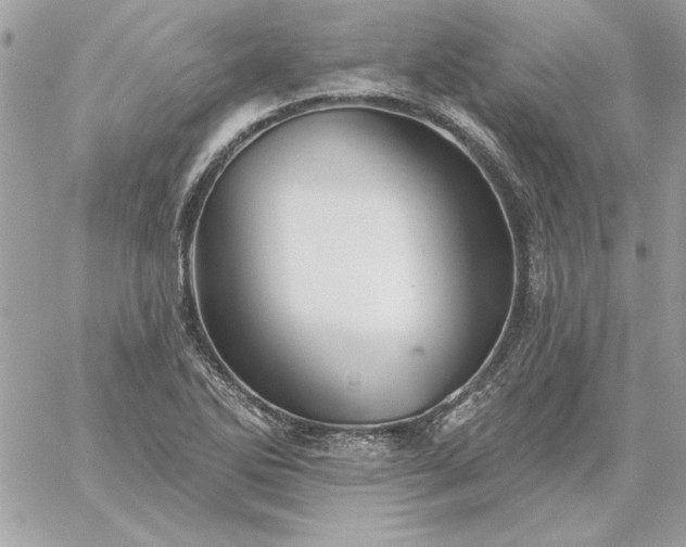 X0000059081270200510172020