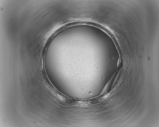 X0000059081271200510172020