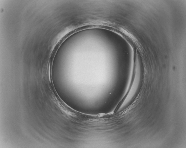 X0000059081272200510172020