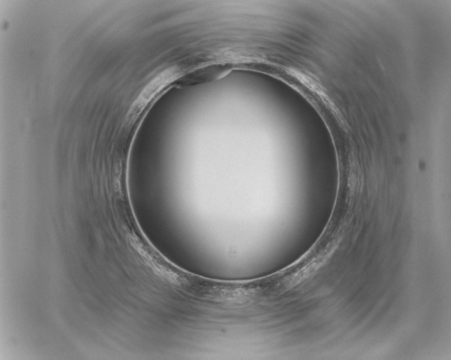 X0000059081273200510172020