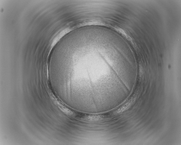 X0000059081274200510172020