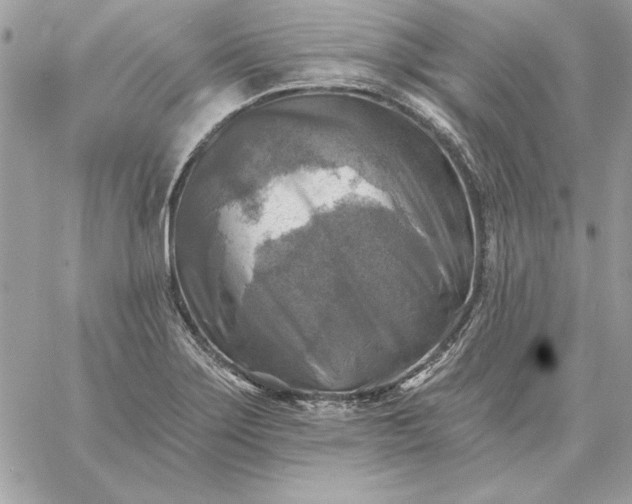 X0000059081275200510172020