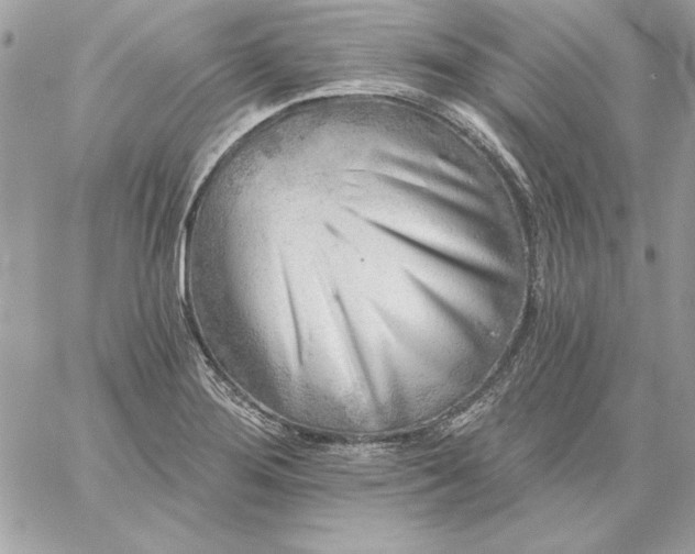 X0000059081276200510172020