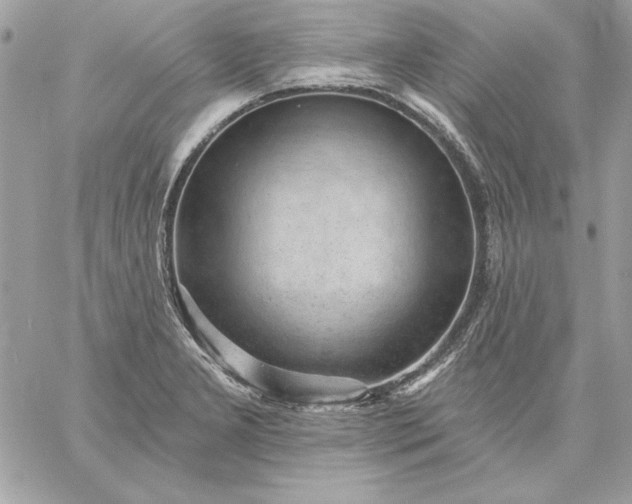 X0000059081277200510172020