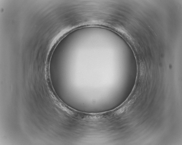 X0000059081278200510172020