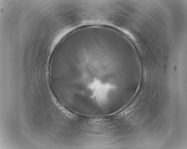 X0000059081279200510172020