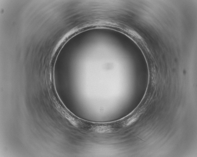 X0000059081280200510172020