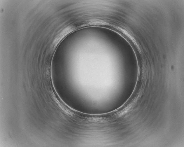 X0000059081281200510172020