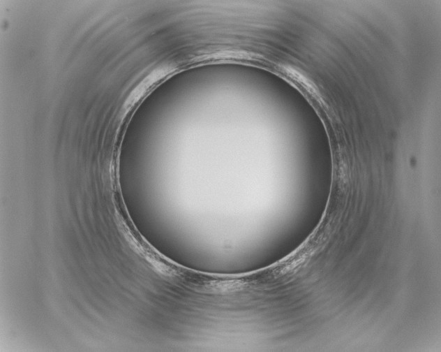 X0000059081282200510172020