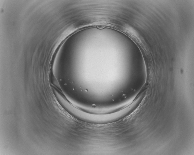 X0000059081284200510172020