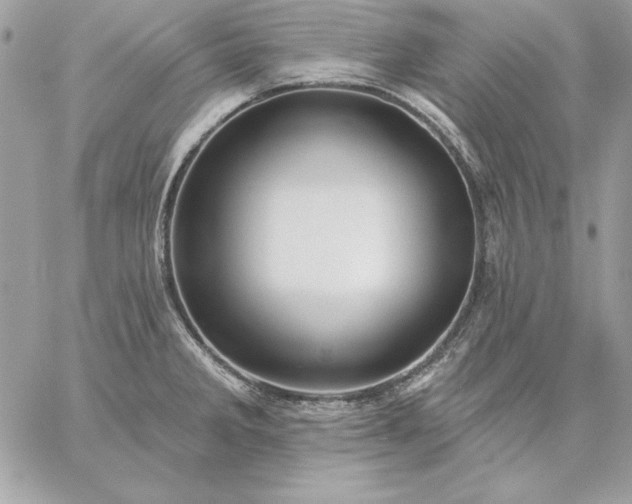 X0000059081285200510172020