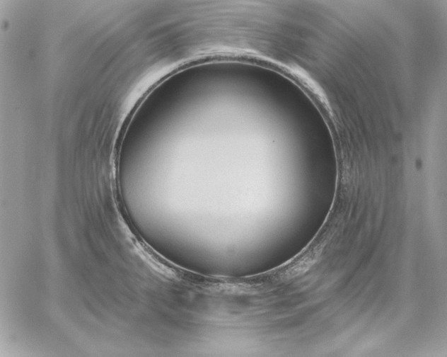 X0000059081287200510172020