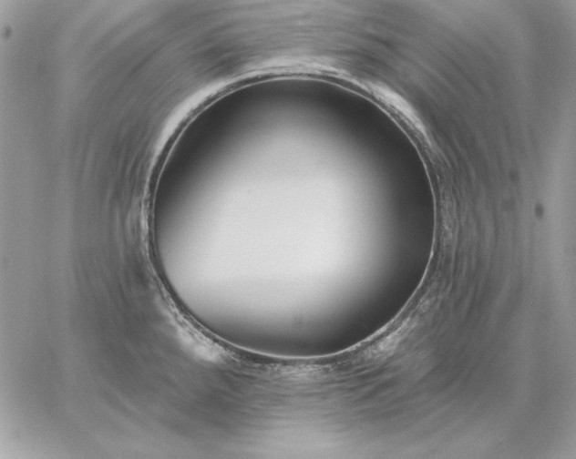 X0000059081288200510172020