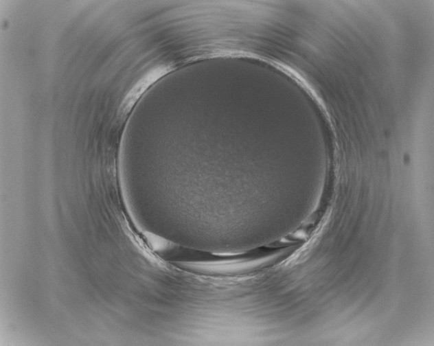 X0000059081289200510172020