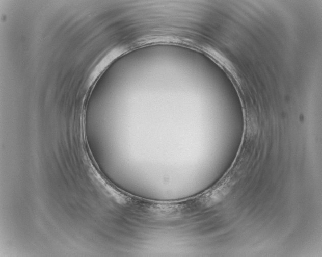 X0000059081290200510172020